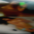 Melbourne swingers preview