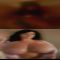Horny Phenix