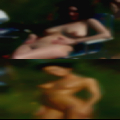 Pussy Haysi